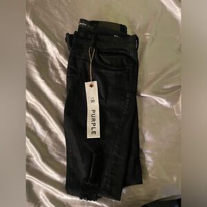 Purple Brand Jeans